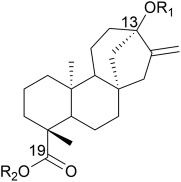 stevia structure