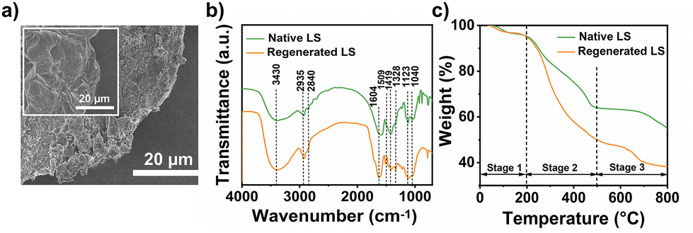 Solvatochromism and Conformational Changes in Fully Dissolved Poly