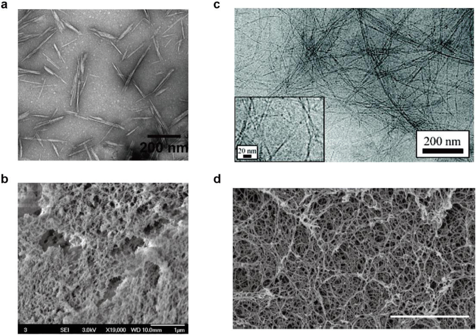 https://pubs.rsc.org/image/article/2023/GC/d3gc01829f/d3gc01829f-f1_hi-res.gif