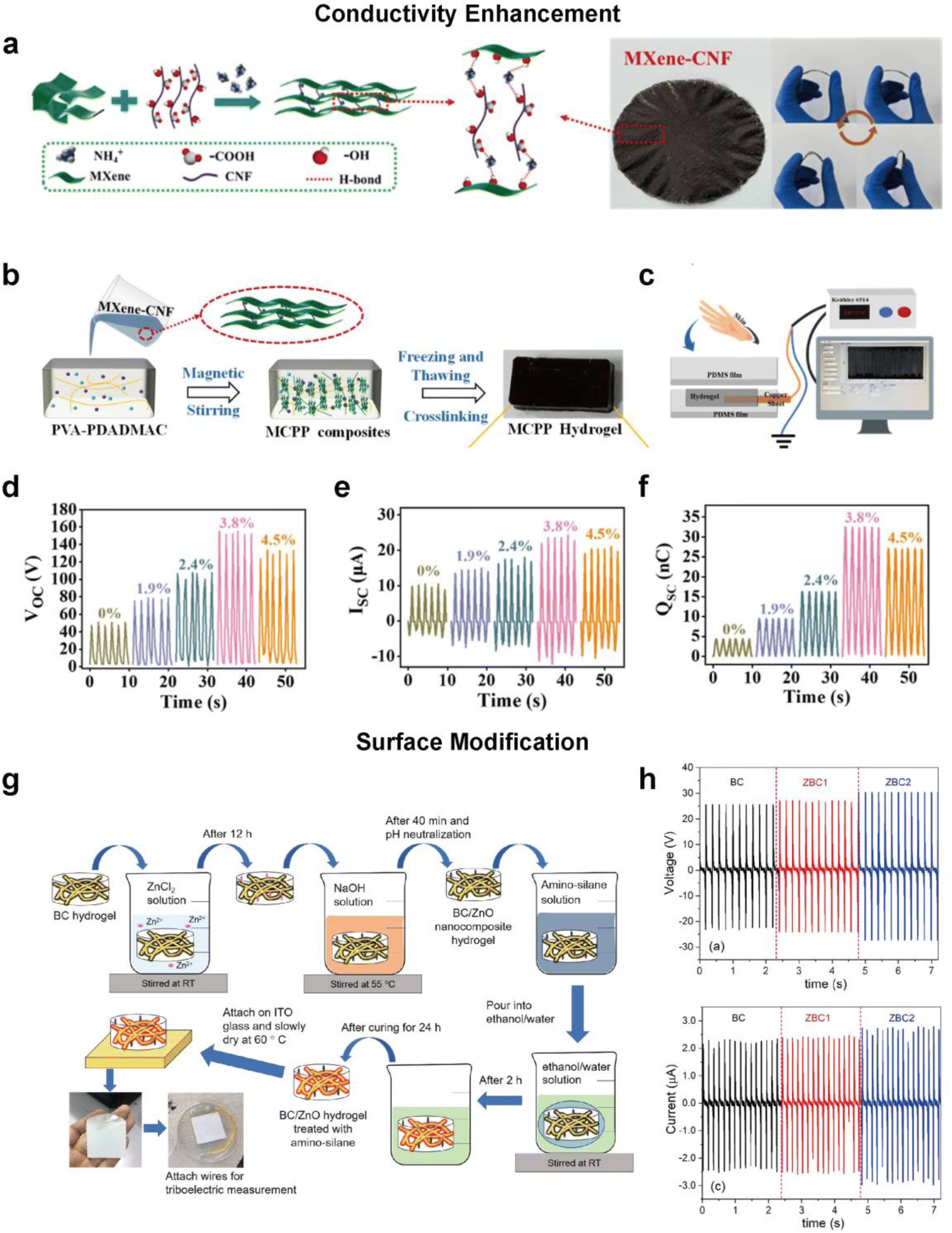 When nanocellulose meets hydrogels: the exciting story of