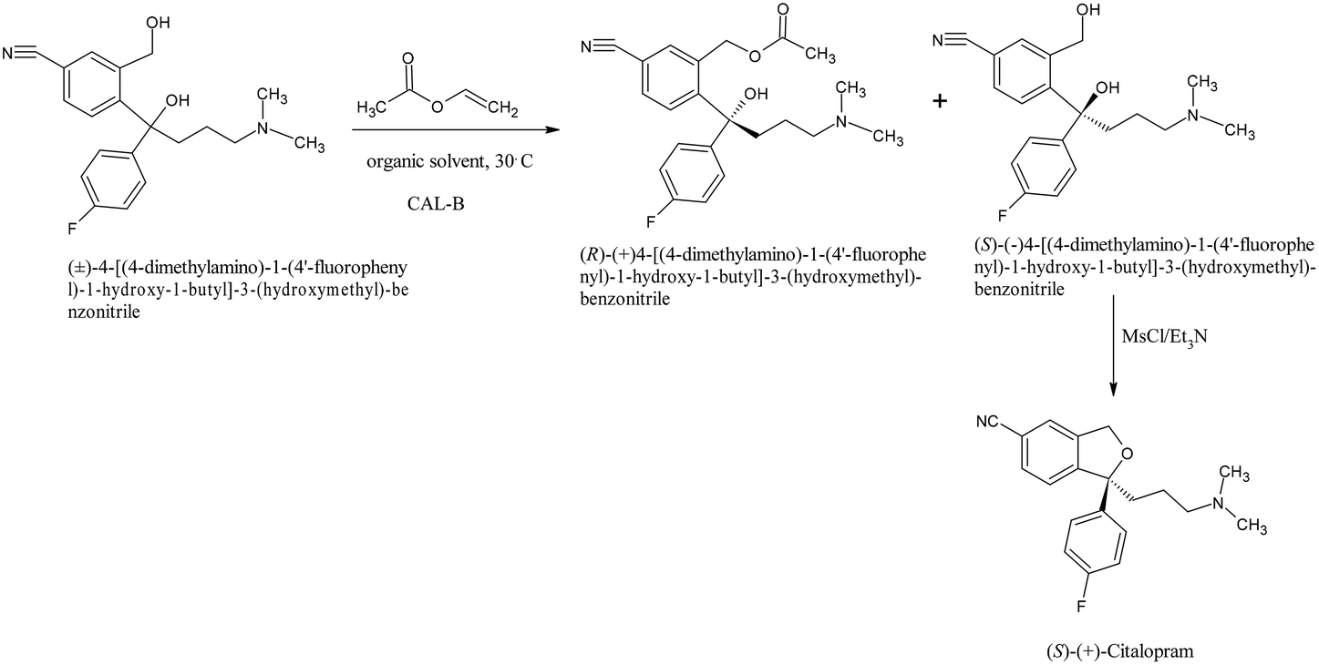 Role of fungal enzymes in the synthesis of pharmaceutically important  scaffolds: a green approach - Green Chemistry (RSC Publishing)  DOI:10.1039/D3GC02384B