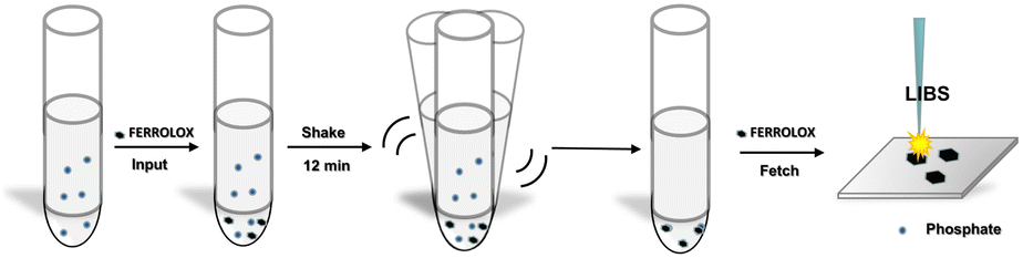 Determination of phosphorus in water using iron hydroxide assisted 