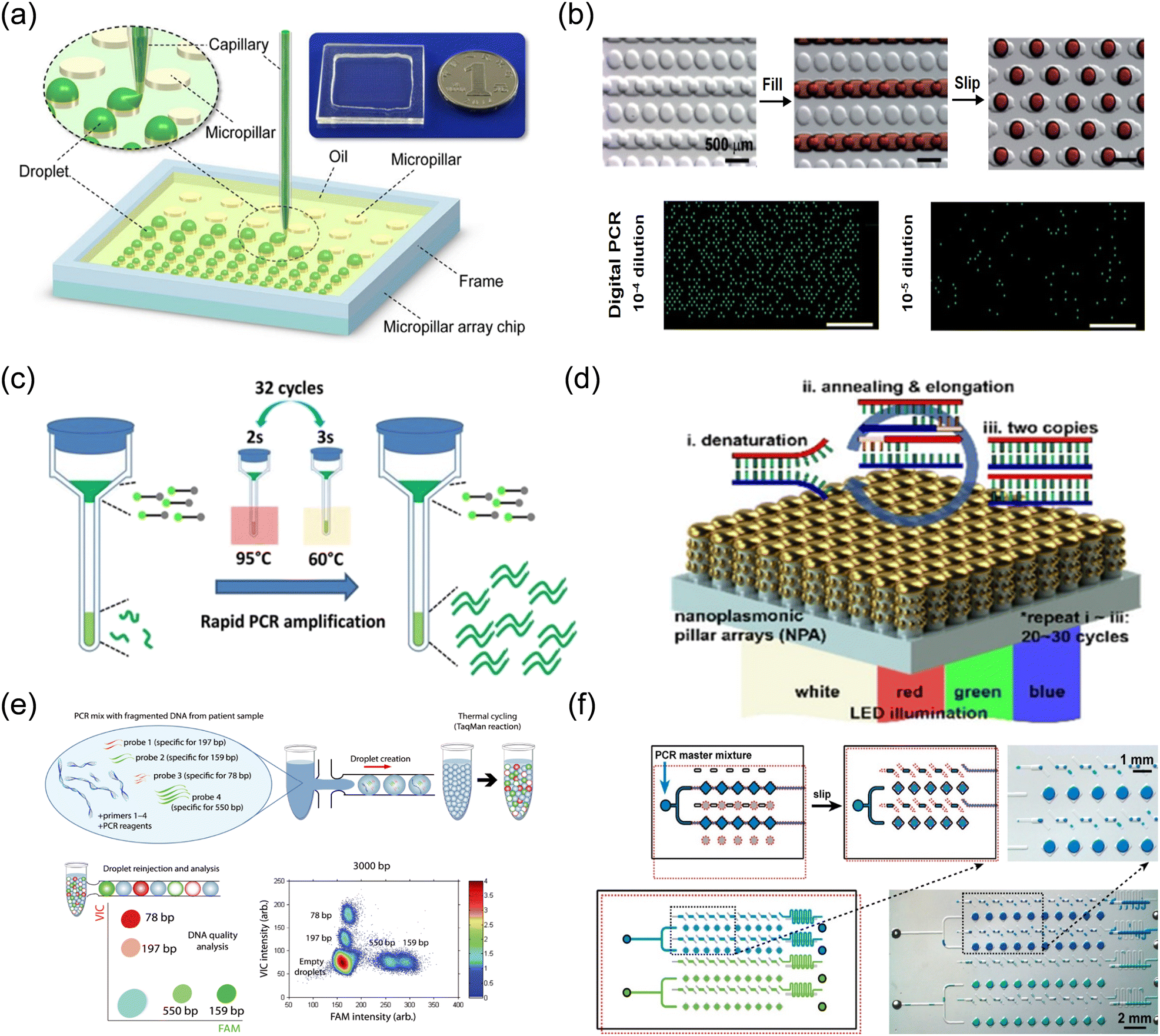 Microfluidic Platform for Next-Generation Sequencing Library Preparation  with Low-Input Samples