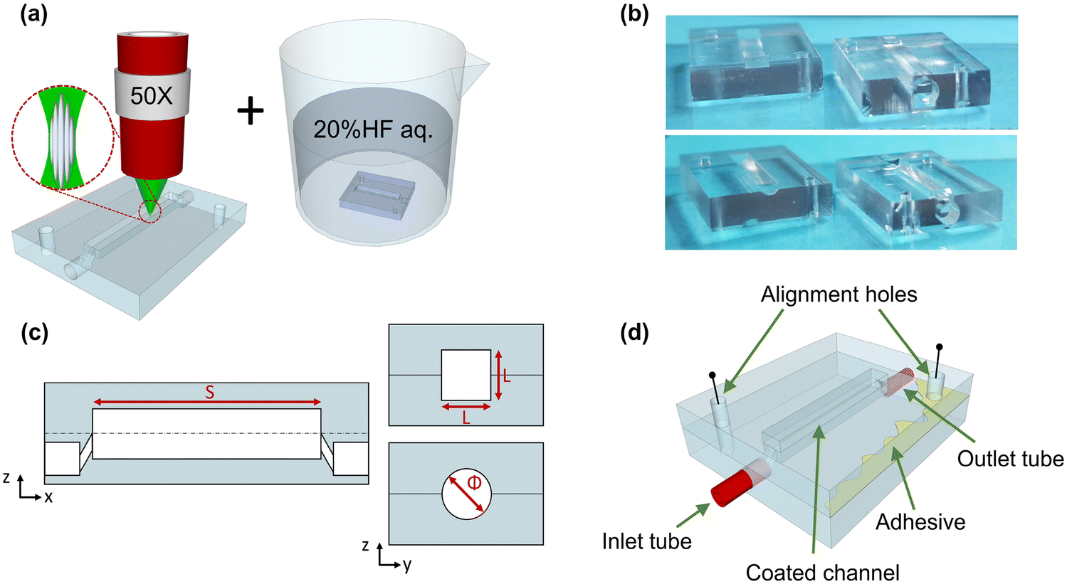 Dynamic investigation of zein-based degradable and Dynamic investigation of zein-based degradable and