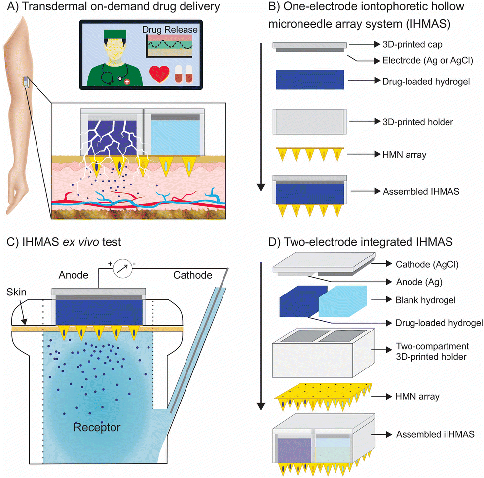 In Vivo Testing, NANOLAB