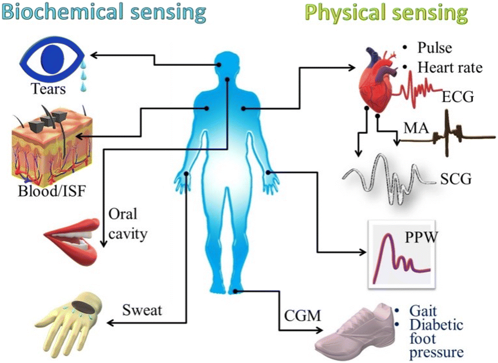 Contact-Free, Passive, Electromagnetic Resonant Sensors for Enclosed  Biomedical Applications: A Perspective on Opportunities and Challenges