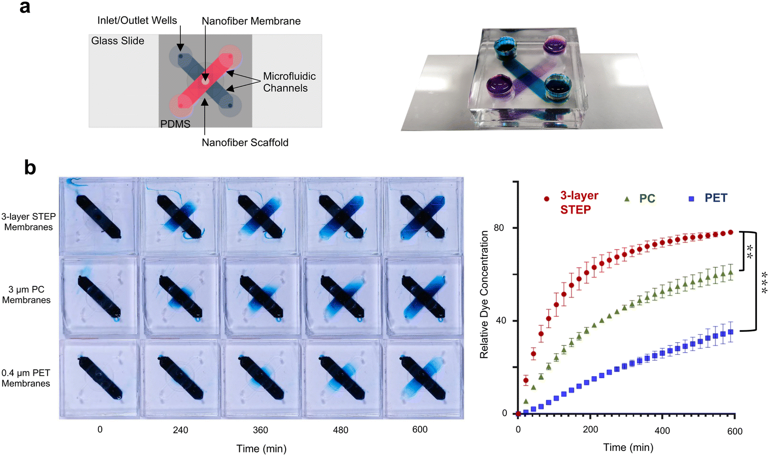 Time-lapse imaging of particle invasion and deposition in porous