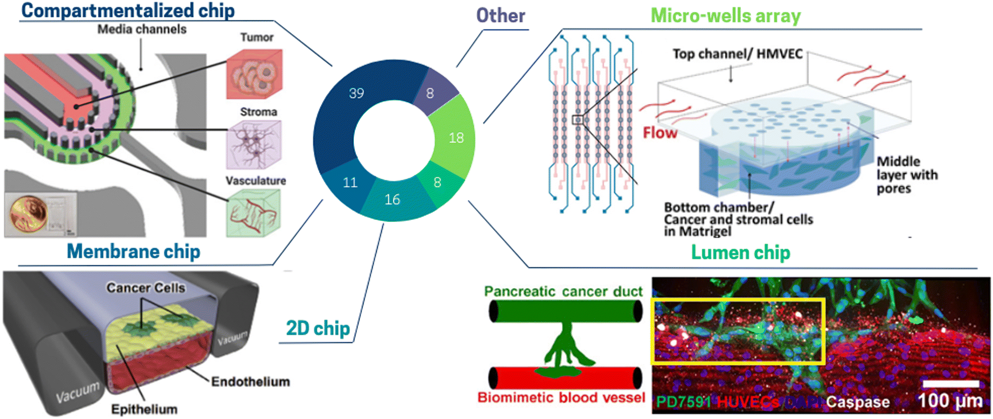 Frontiers  Engineering Breast Cancer On-chip—Moving Toward