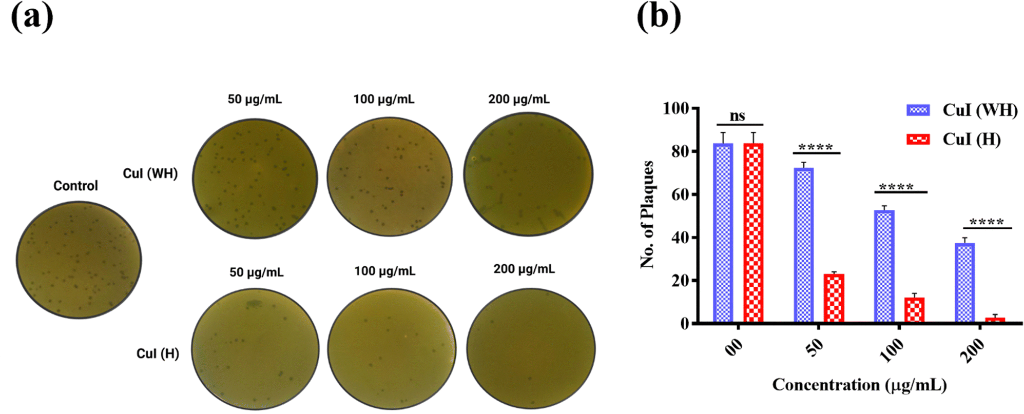 Copper iodide microhexagons a potential therapeutic agent for surface