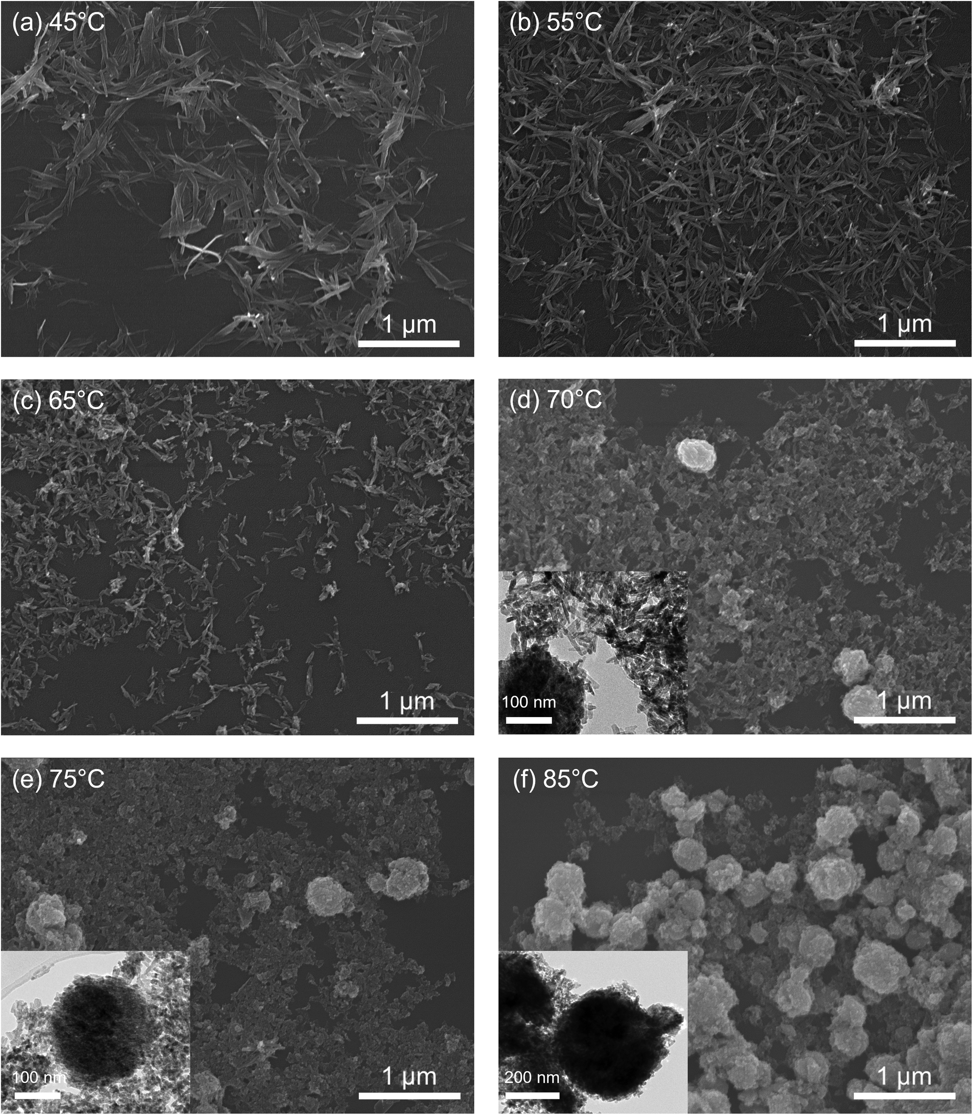 Temperature-modulated solution-based synthesis of copper oxide 