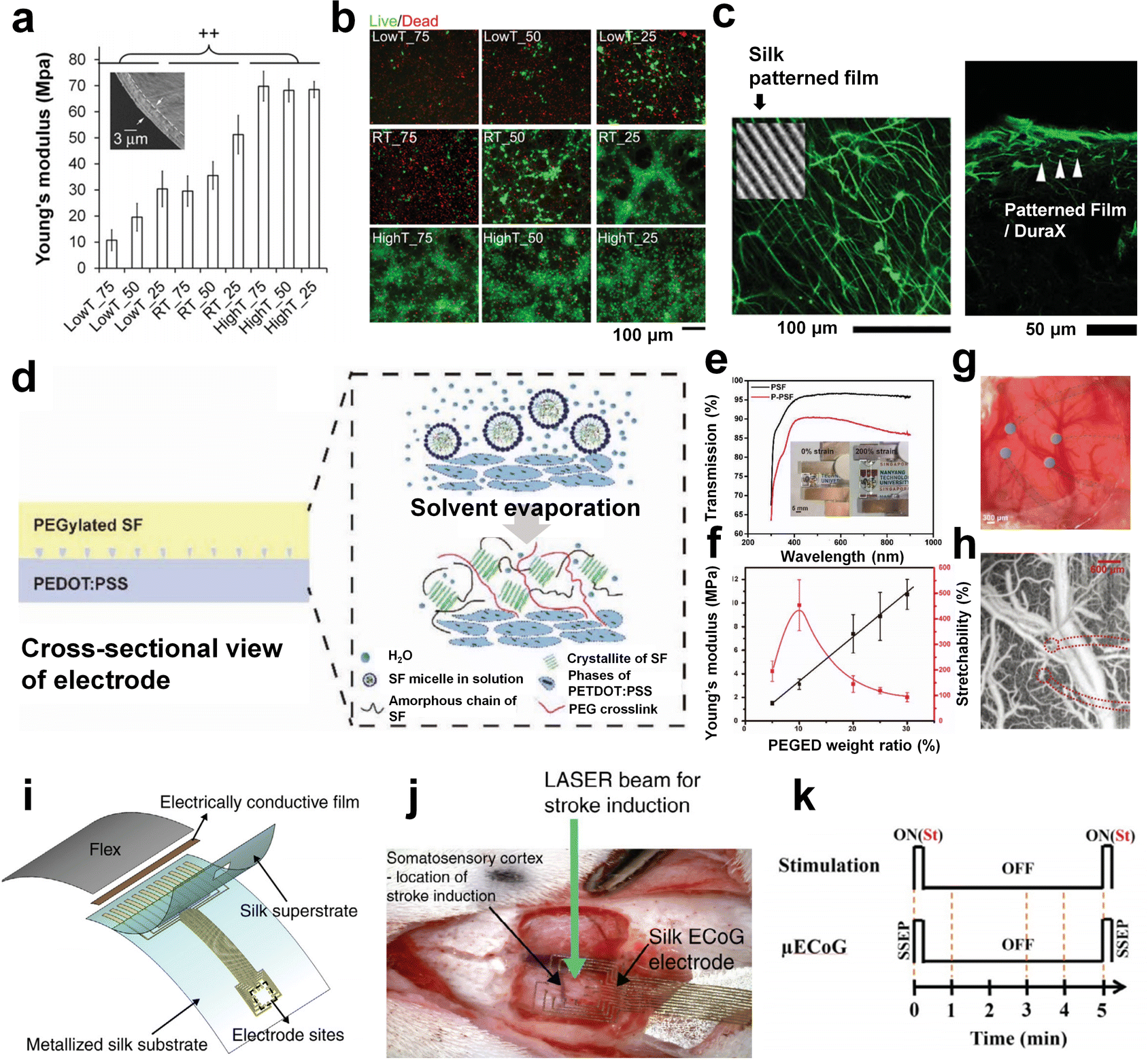 Bioactive polymeric materials and electrical stimulation