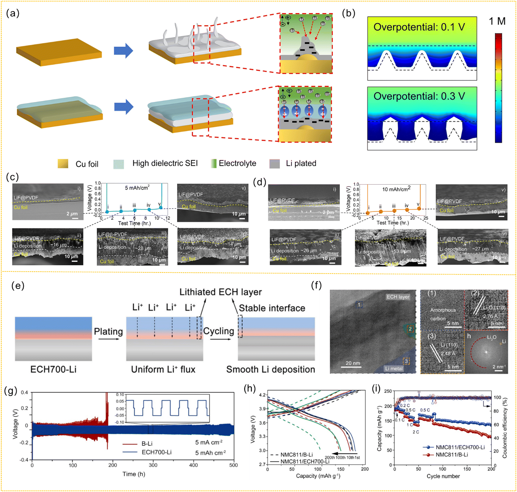 Ion modulation engineering toward stable lithium metal anodes 