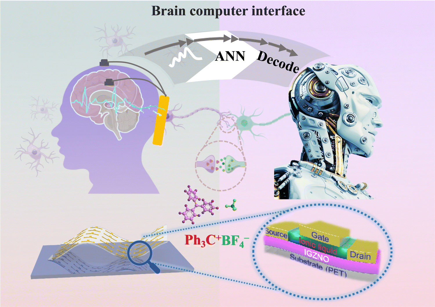 Analysis Paralysis - Binary Asylum Articles