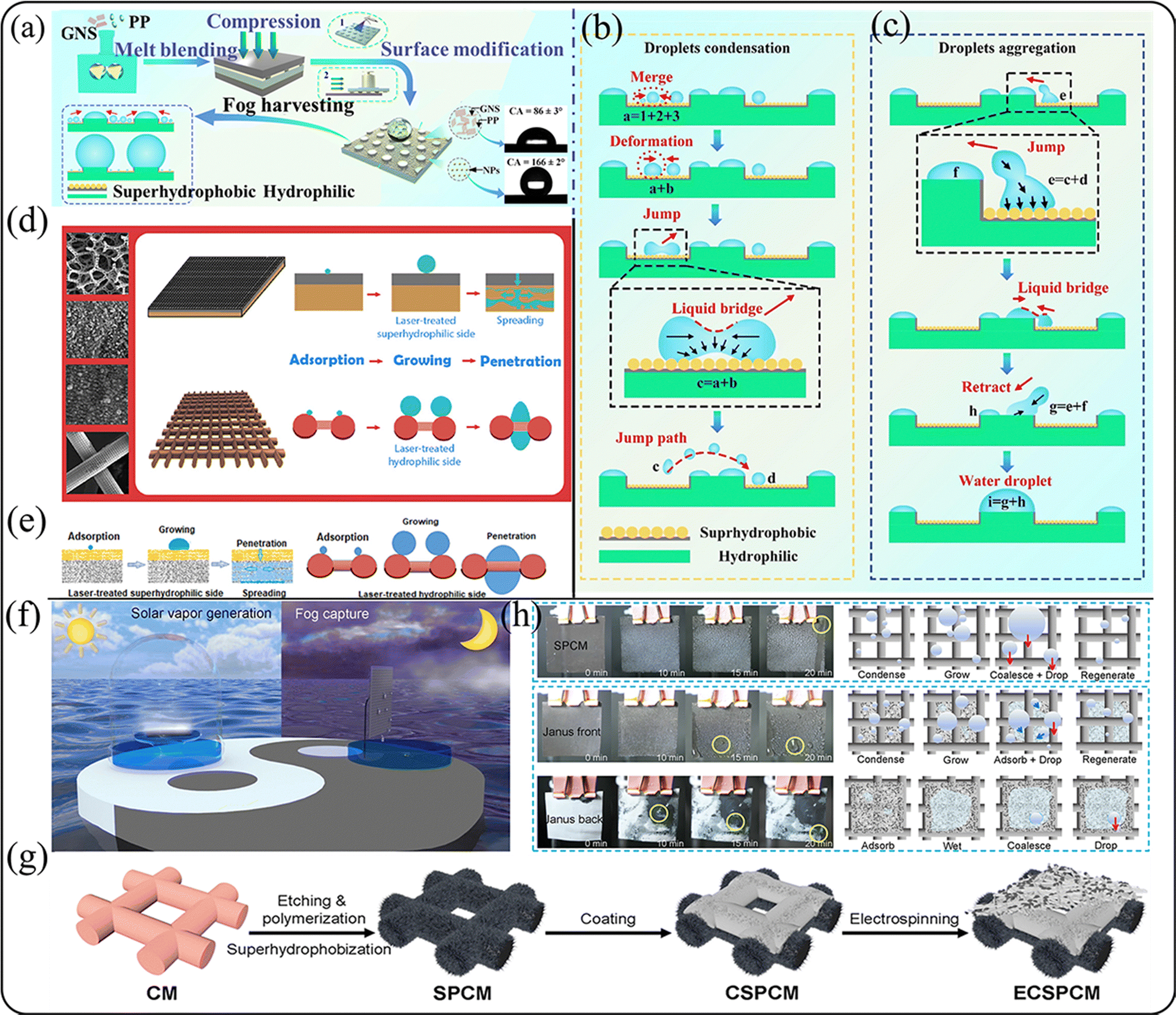 Research progress of bionic fog collection surfaces based on special  structures from natural organisms - RSC Advances (RSC Publishing)  DOI:10.1039/D3RA04253G