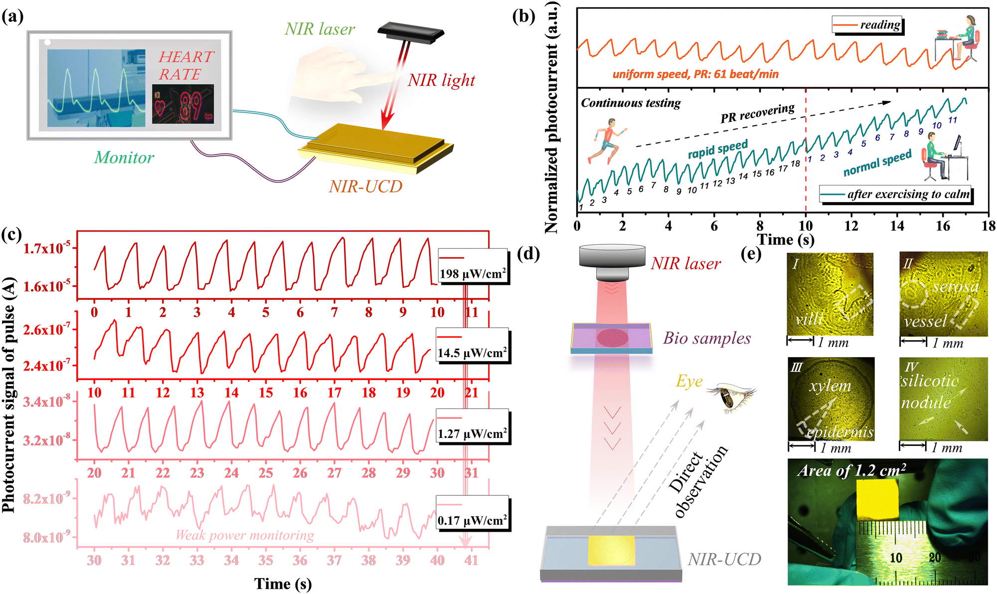 A high-performance dual-functional organic upconversion
