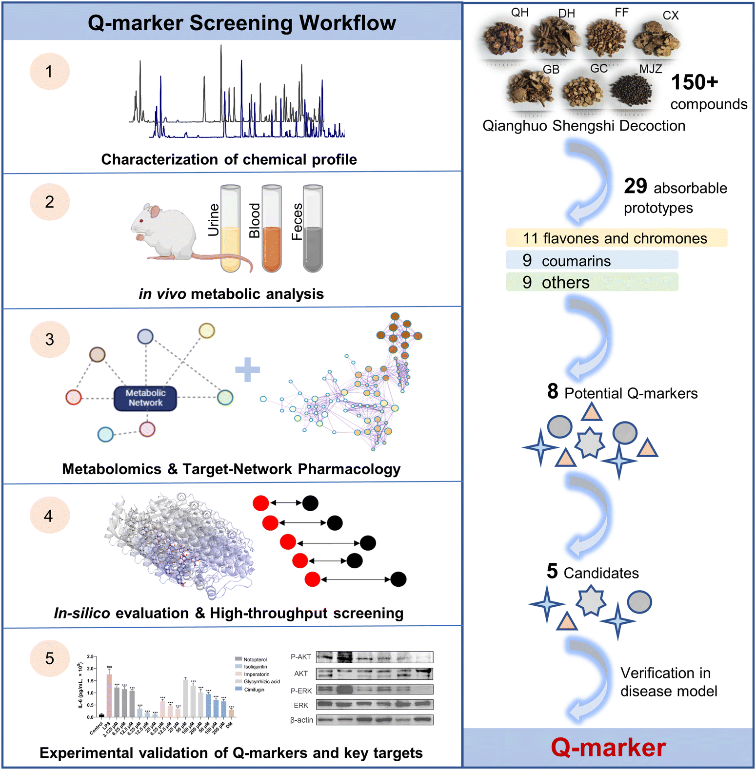 Typical BPI of feces samples in positive ESI mode. (A) Control group;