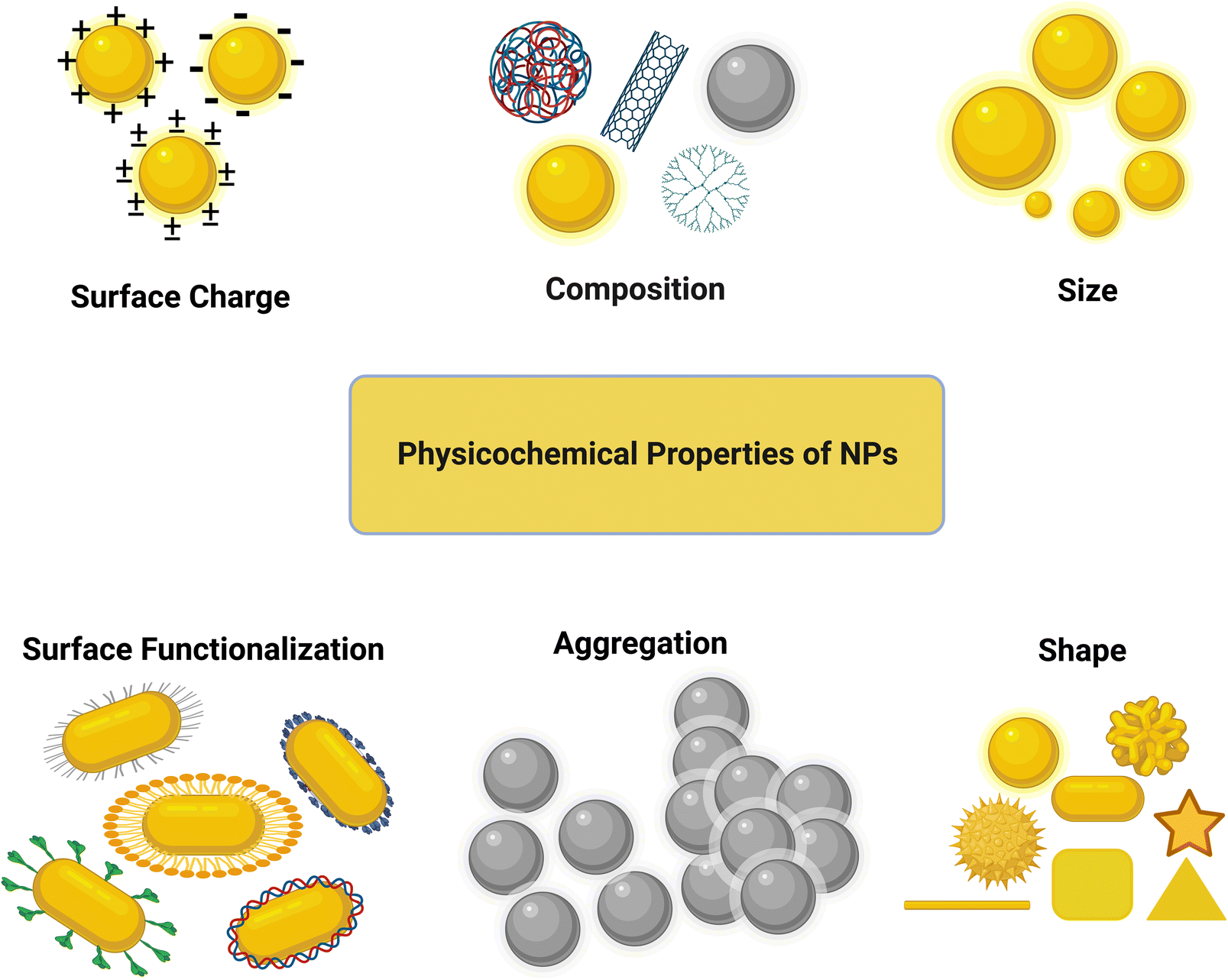 Commonly used techniques for in vivo testing with NPs, which may lead