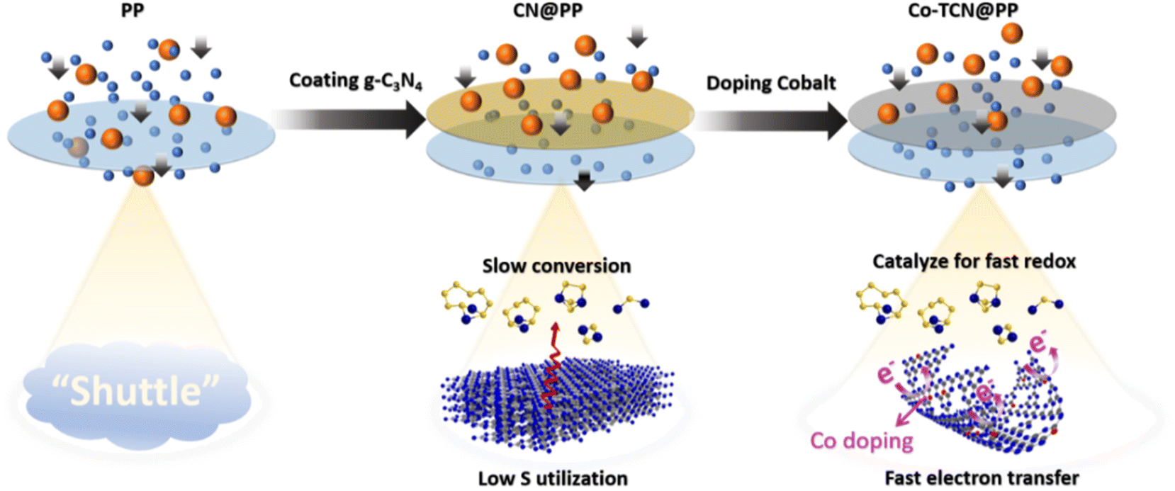 Frontiers | Neuroinflammatory Process Involved in Different