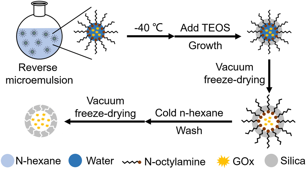Freezing-assisted reverse microemulsion synthesis of hollow