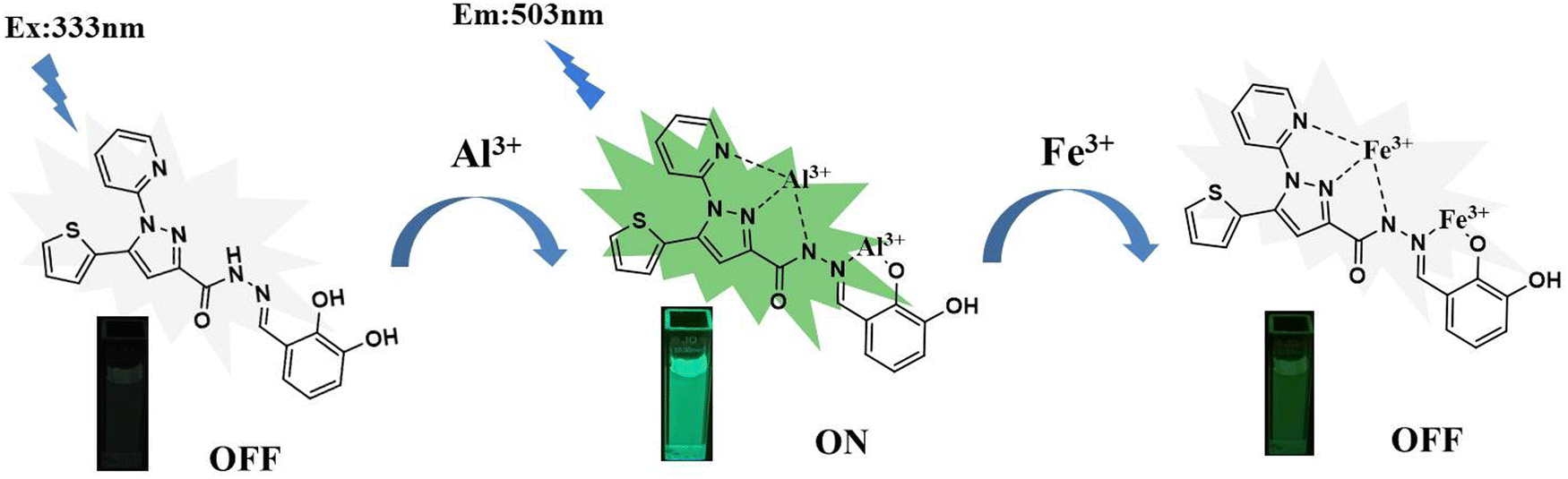 An off-on-off fluorescence probe based on a pyrazole derivative 