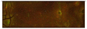 image file: d3nj00228d-u40.tif