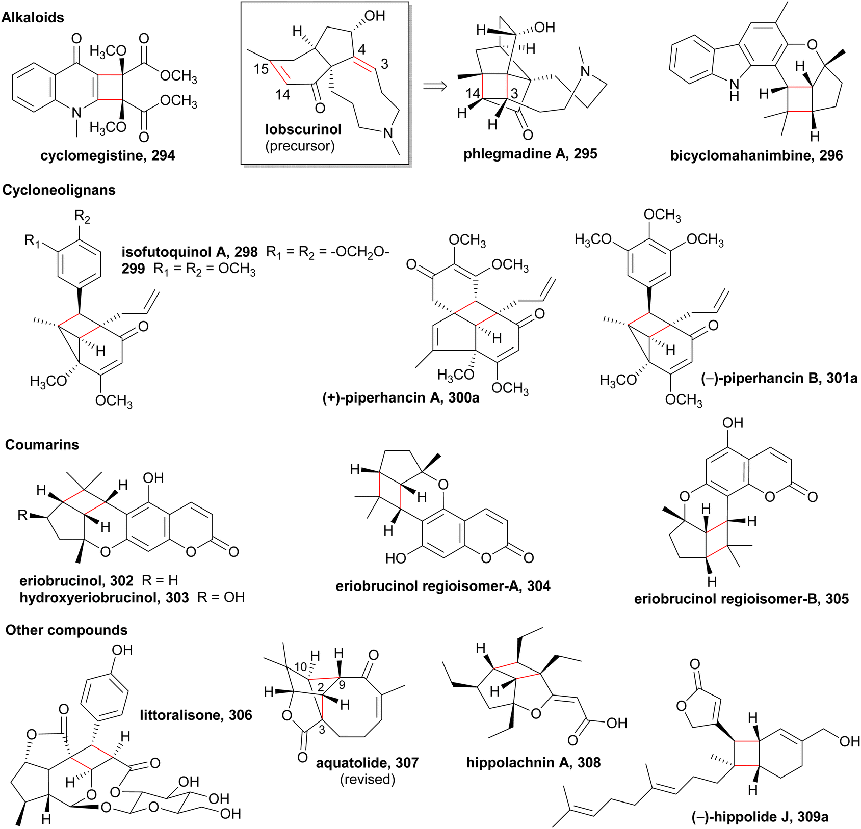 2 + 2]-Cycloaddition-derived cyclobutane natural products 