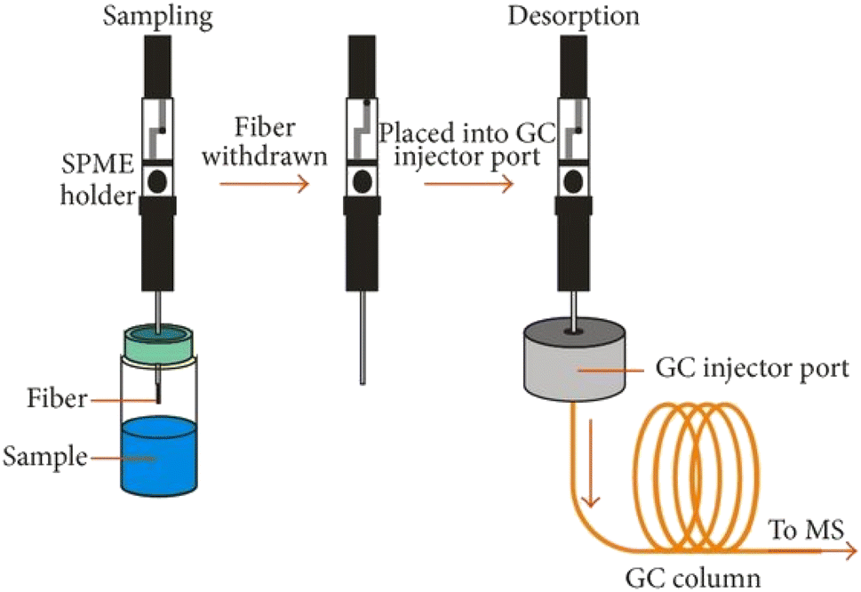 Frontiers  Quality evaluation of compounds in leaves of six Taxus species  based on UPLC-MS/MS and chemometrics