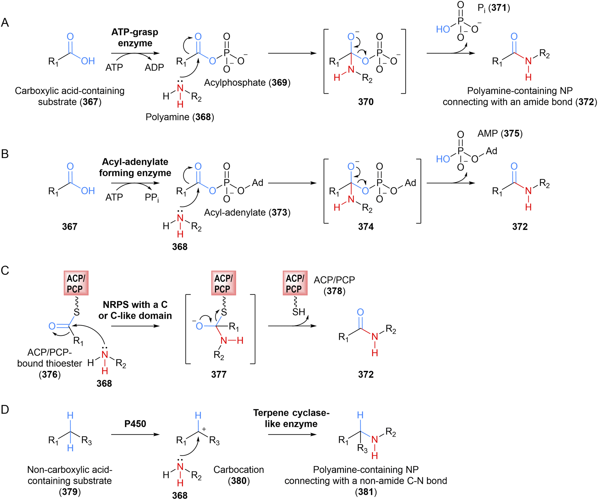 Polyamine-containing natural products: structure, bioactivity, and