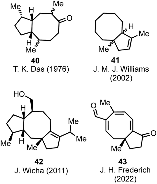 Therapeutic vulnerabilities of cancer stem cells and effects of 