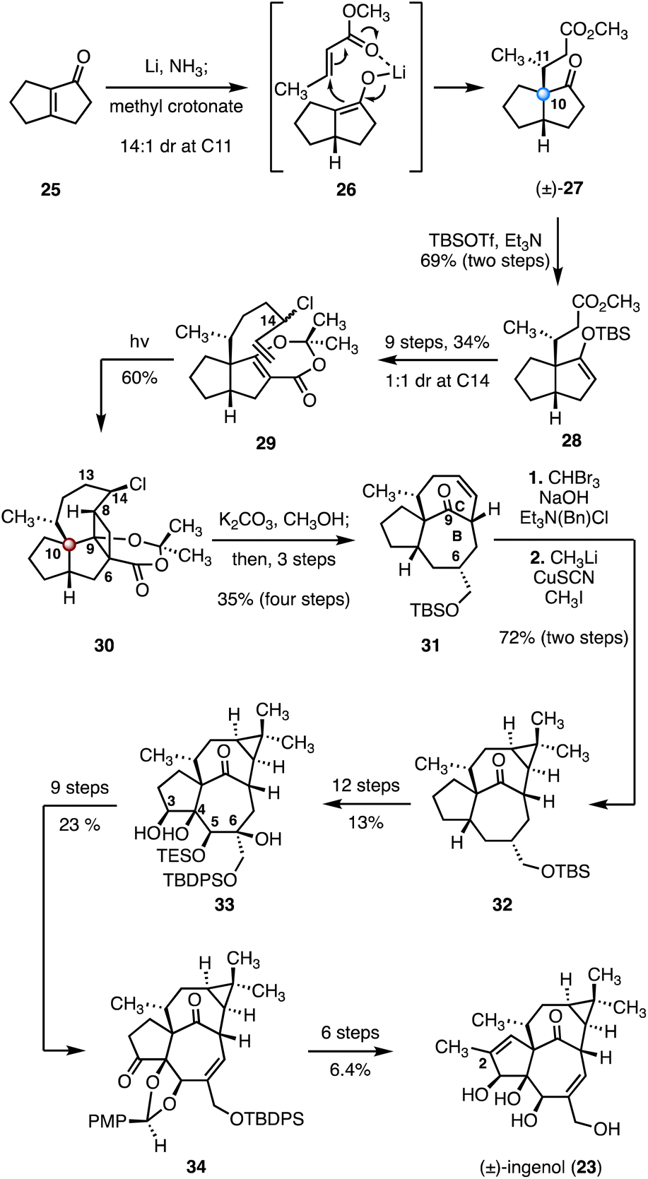 Finding activity through rigidity: syntheses of natural products 