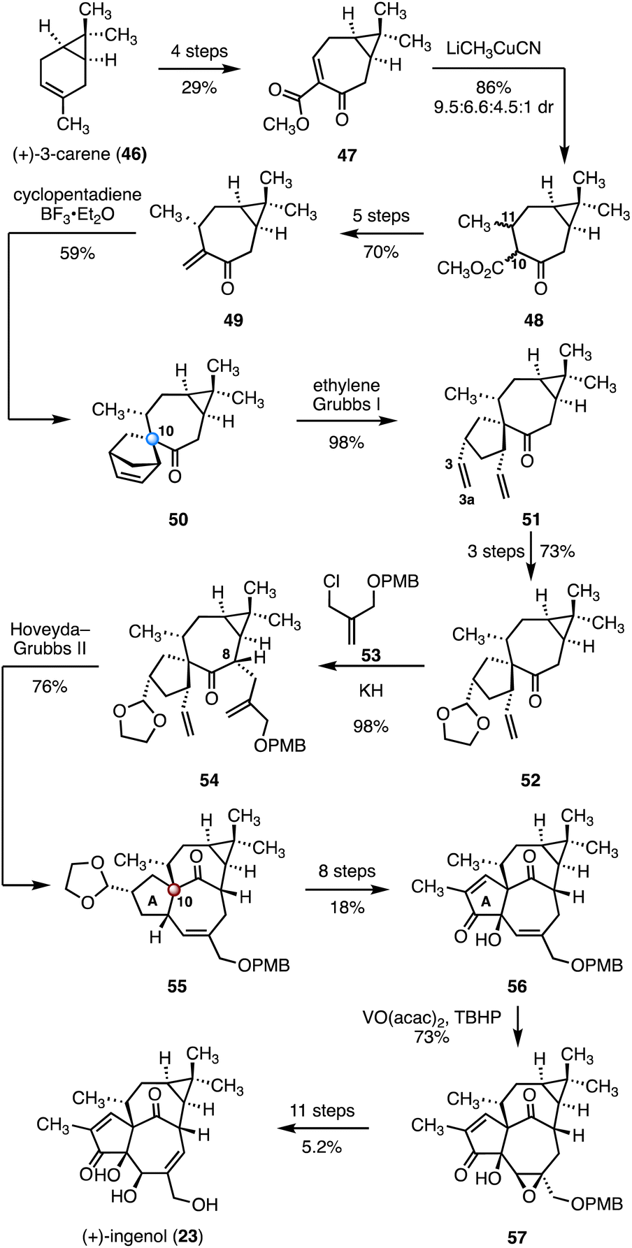 Finding activity through rigidity: syntheses of natural products 