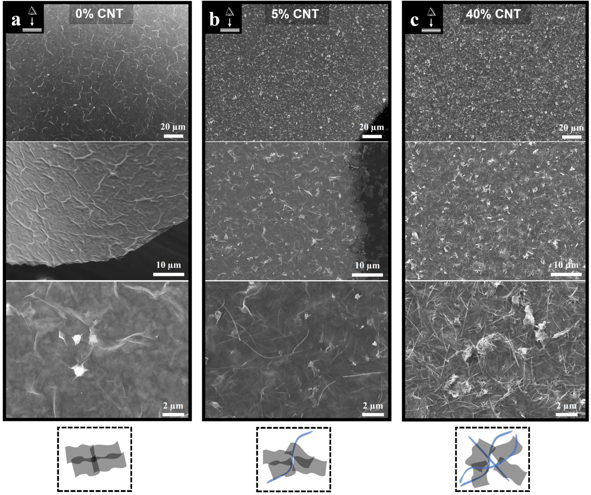 CNT–MXene ultralight membranes: fabrication, surface nano 