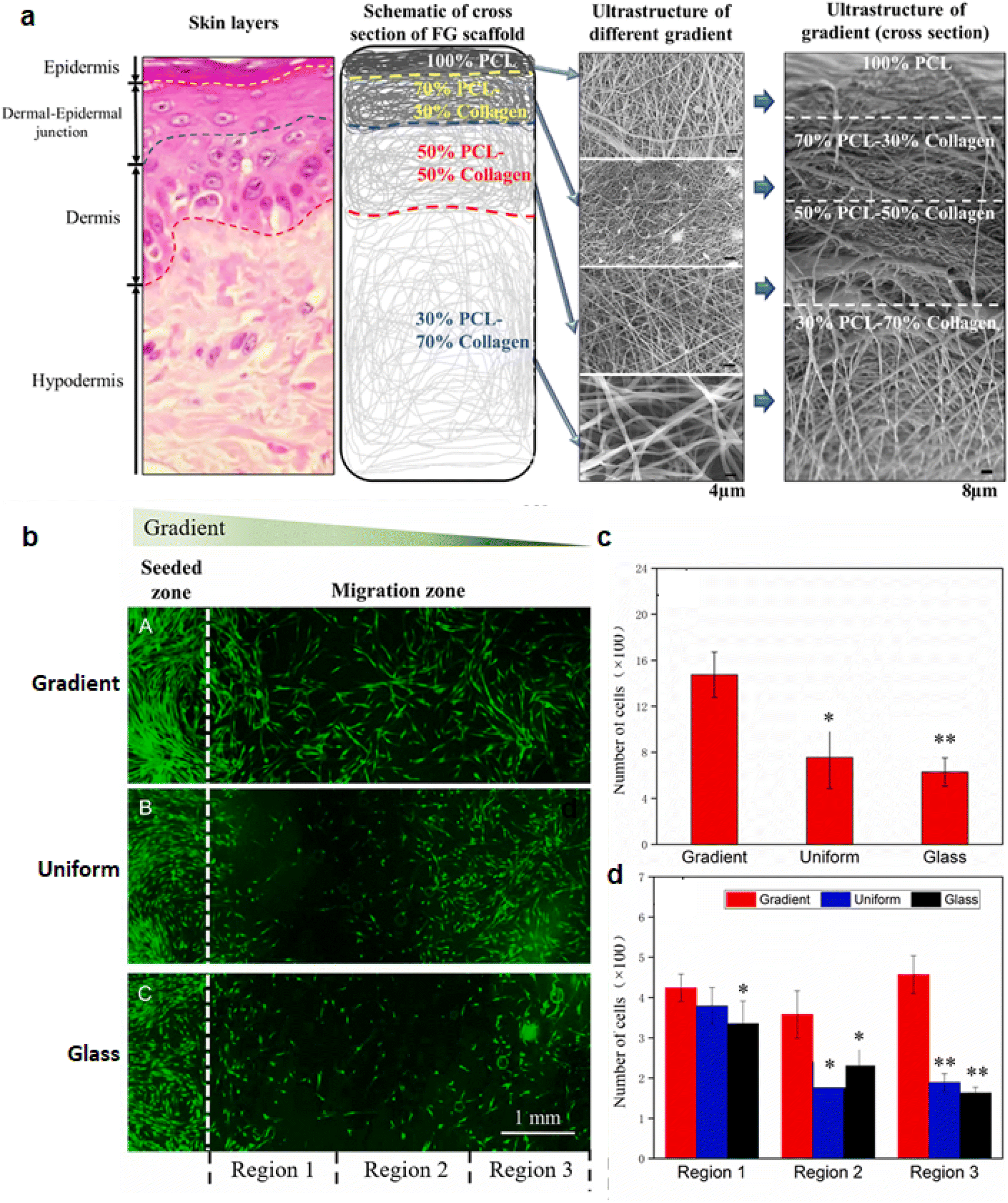 Multifunctional Biosensors Made with Self-Healable Silk Fibroin Imitating  Skin