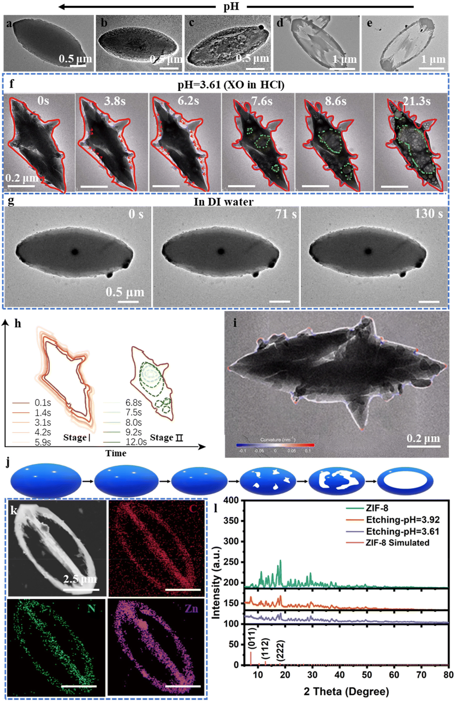 Understanding ZIF particle chemical etching dynamics and 