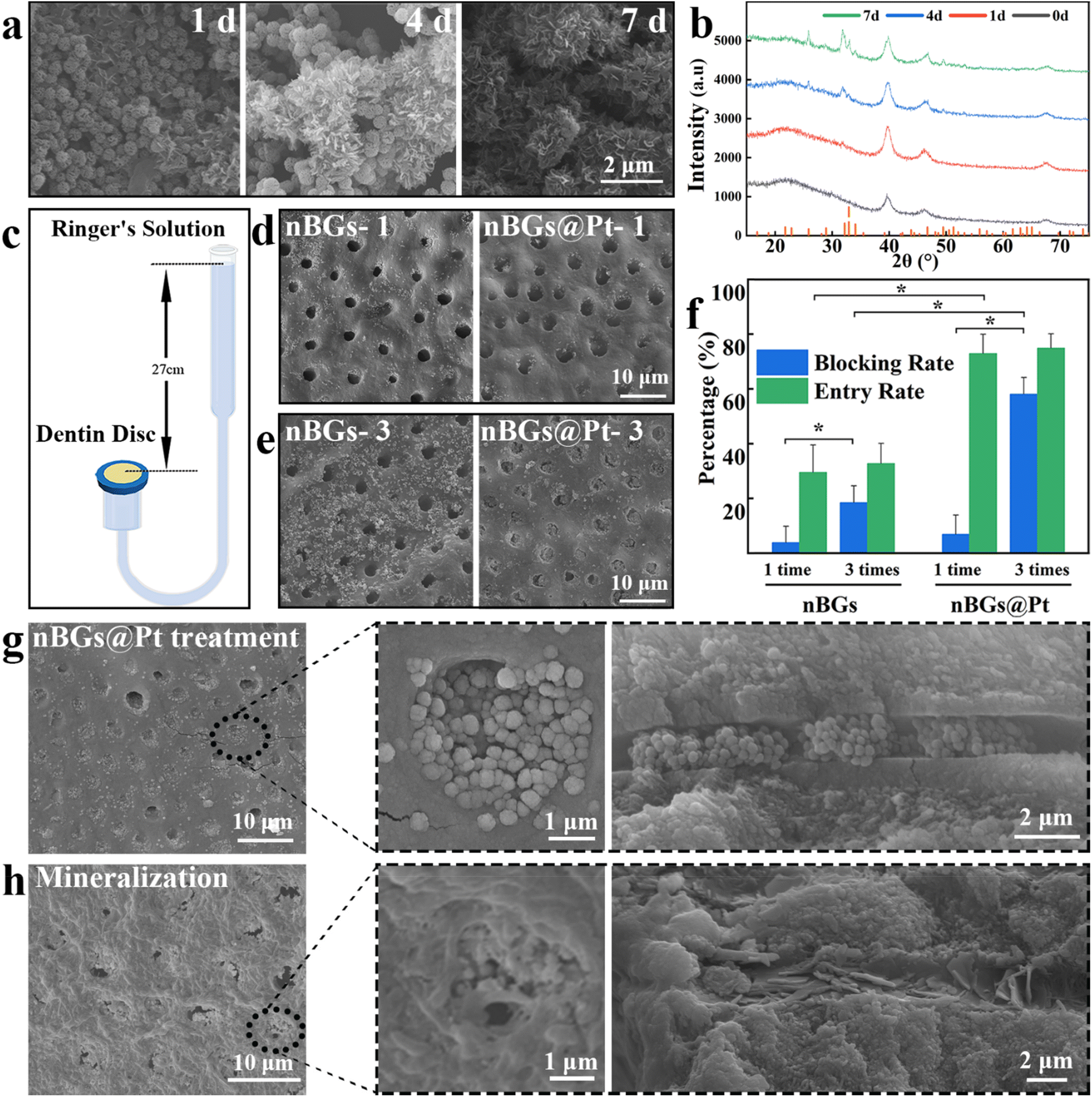 Frontiers | Molecular mechanisms of pruritus in prurigo