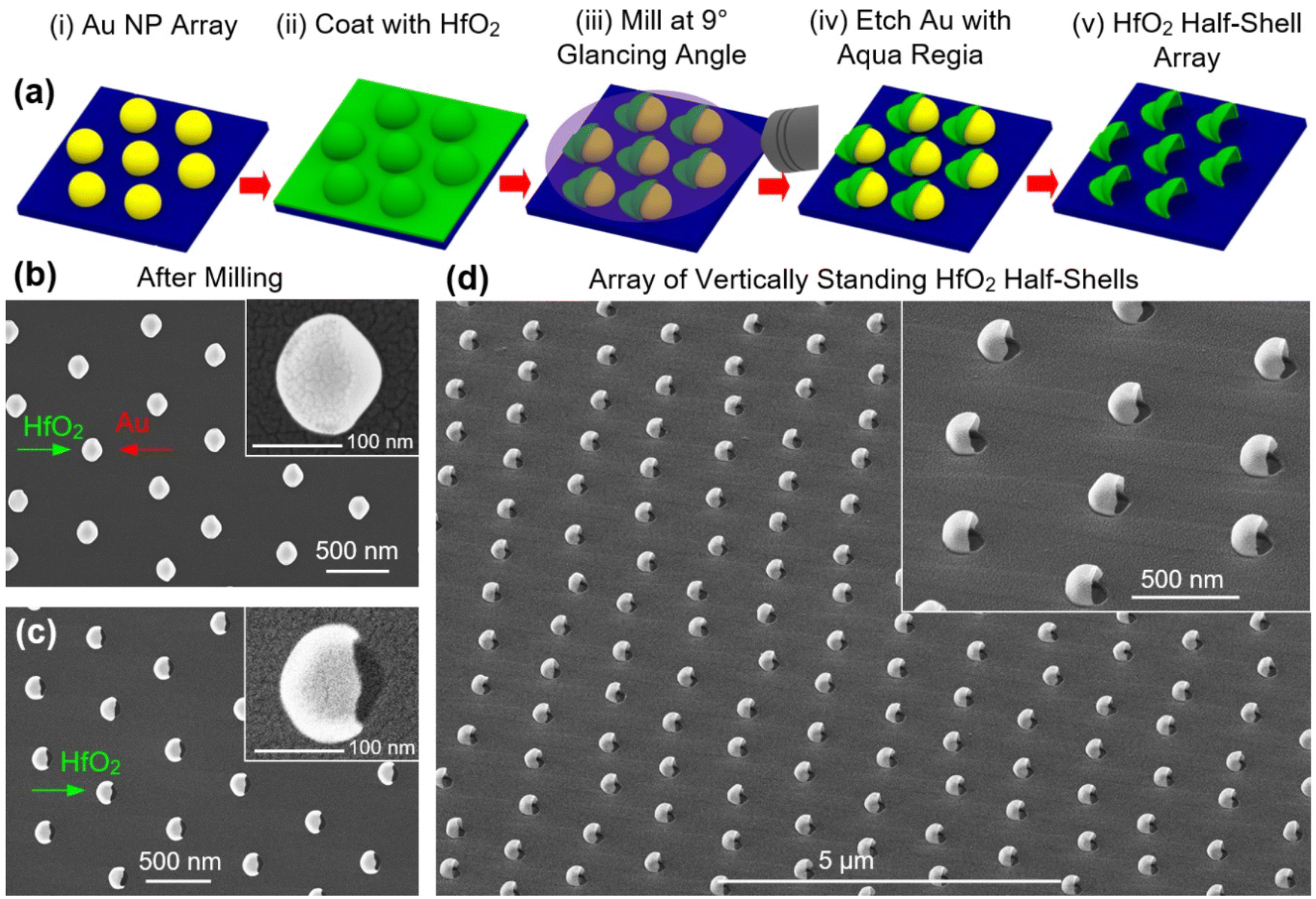 Ion-shaping of embedded gold hollow nanoshells into vertically