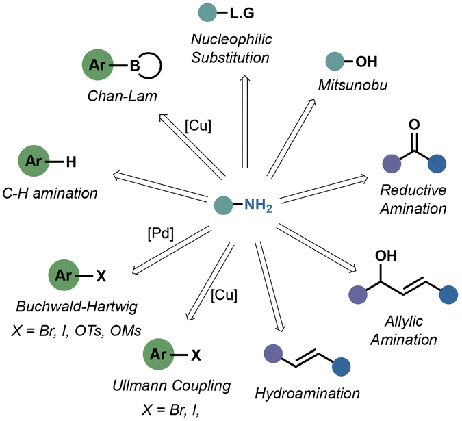 Ammonia surrogates in the synthesis of primary amines - Organic & Biomolecular  Chemistry (RSC Publishing) DOI:10.1039/D3OB01202F