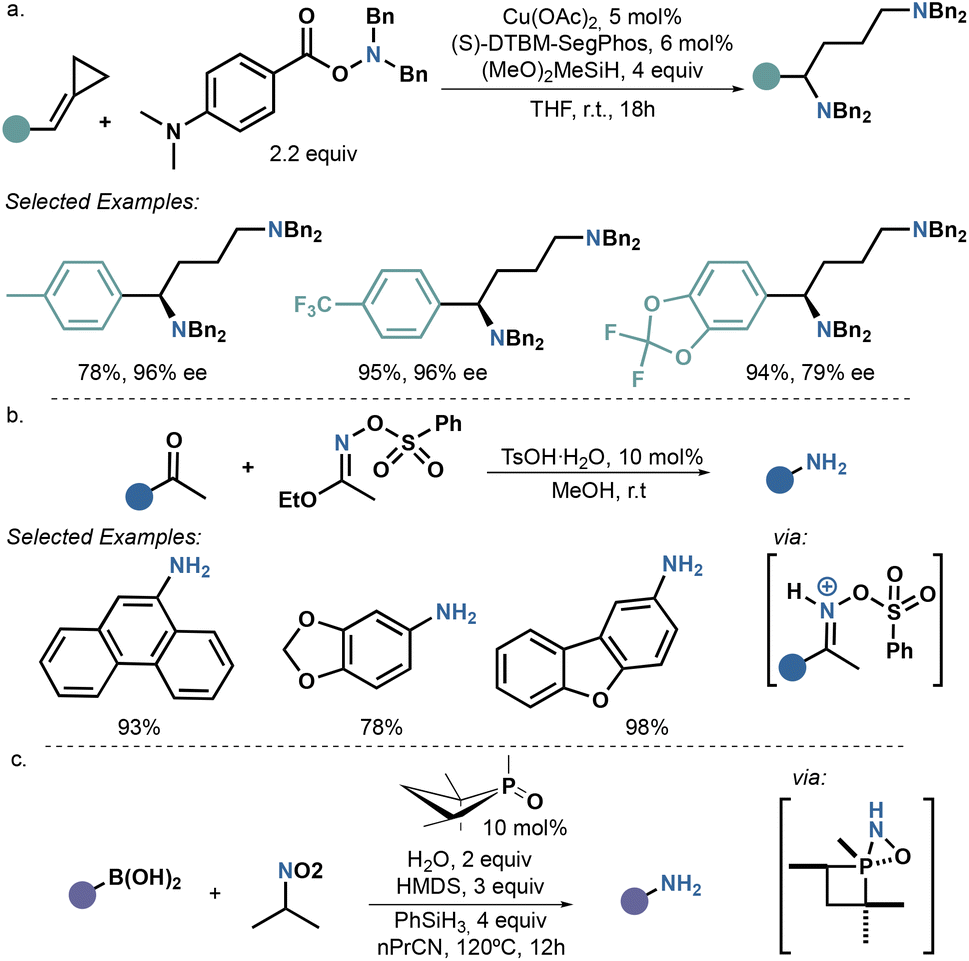 Ammonia surrogates in the synthesis of primary amines - Organic &  Biomolecular Chemistry (RSC Publishing)