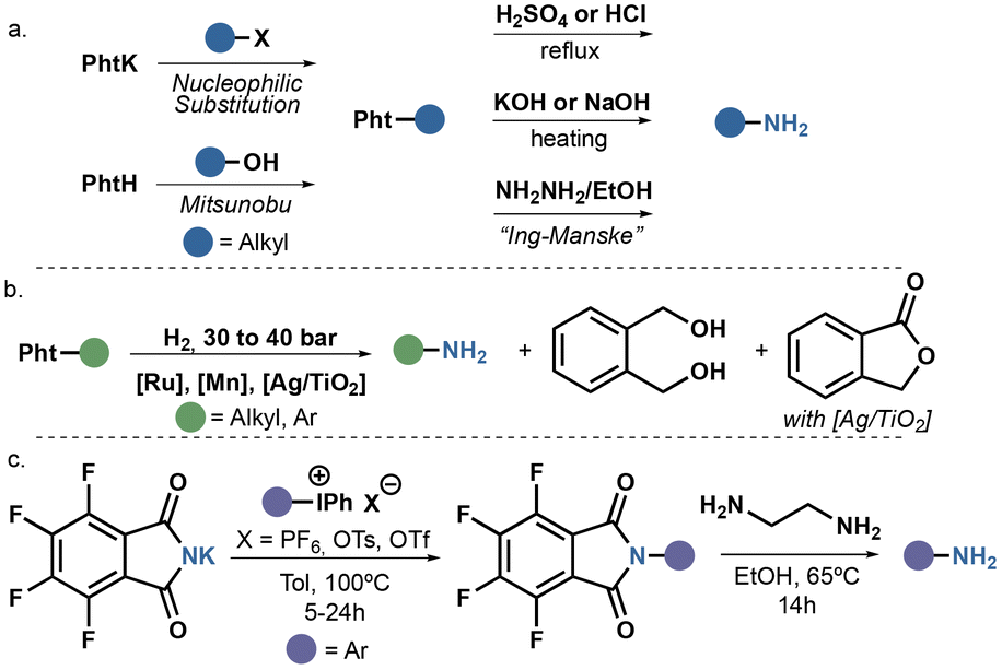 Ammonia surrogates in the synthesis of primary amines - Organic &  Biomolecular Chemistry (RSC Publishing)
