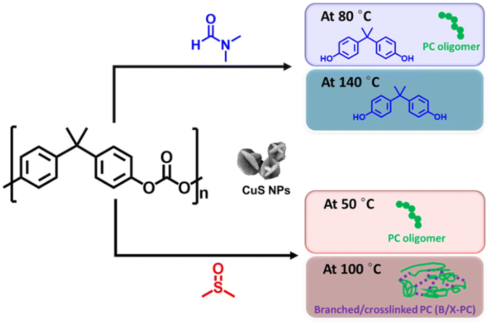 Solvent-induced competing processes in polycarbonate