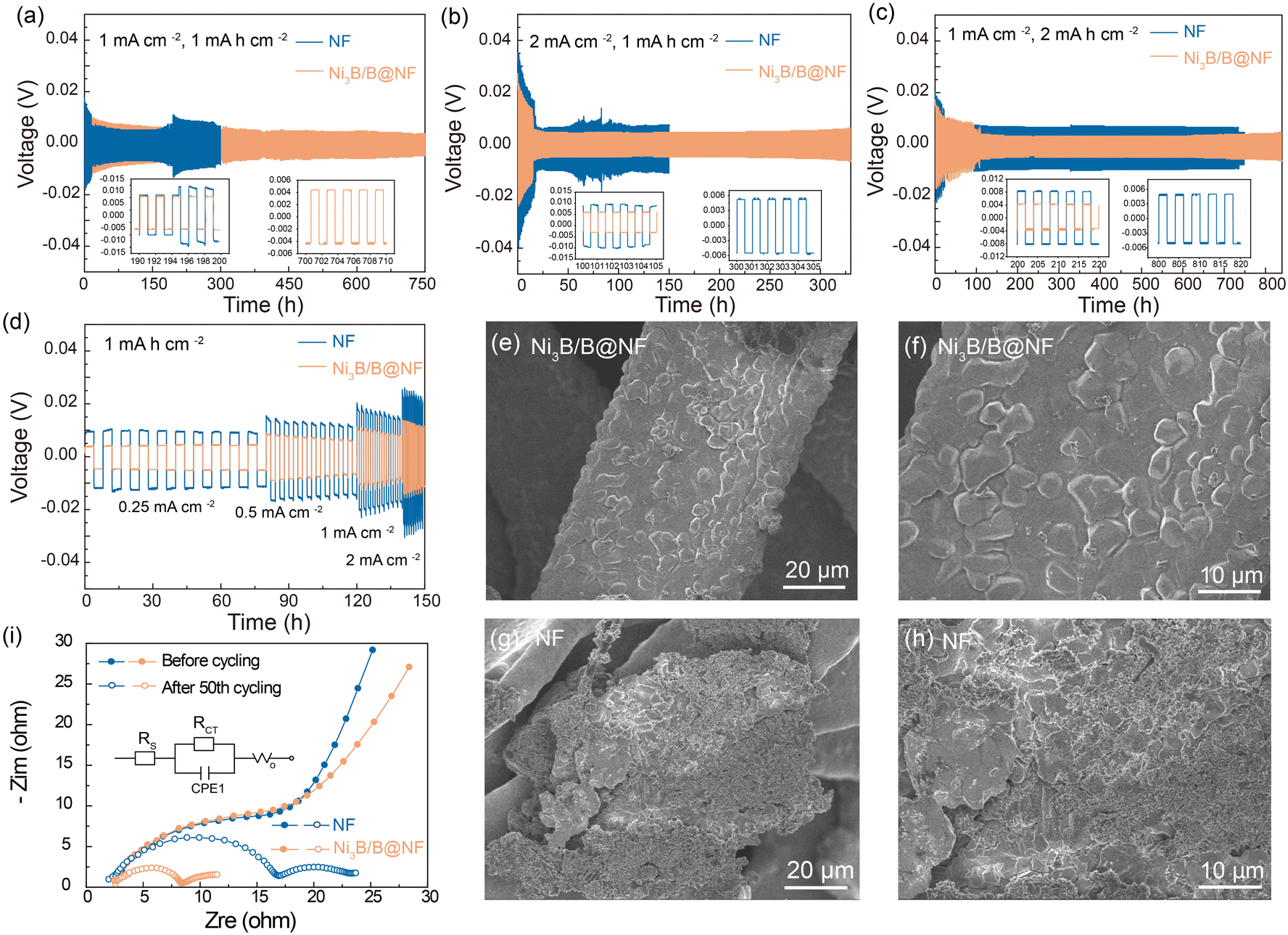 Scalable hierarchical lithiophilic engineering of metal foam