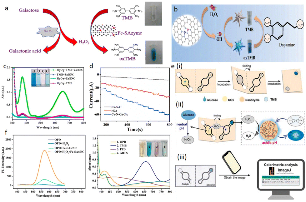 Single-atom nanozymes as promising catalysts for biosensing and