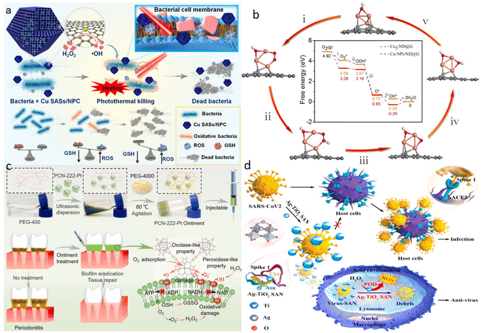 Single-atom nanozymes as promising catalysts for biosensing and biomedical  applications - Inorganic Chemistry Frontiers (RSC Publishing)  DOI:10.1039/D3QI00430A