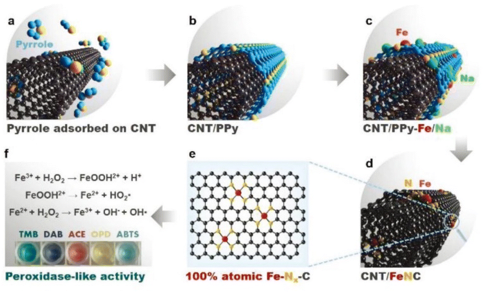 Single-atom nanozymes as promising catalysts for biosensing and