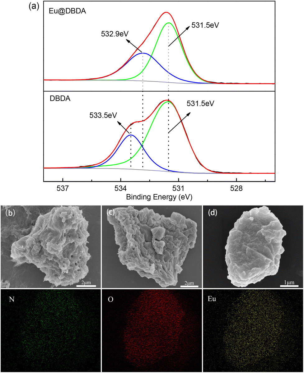 A squaramide-based anionic hydrogen-bonded organic framework 