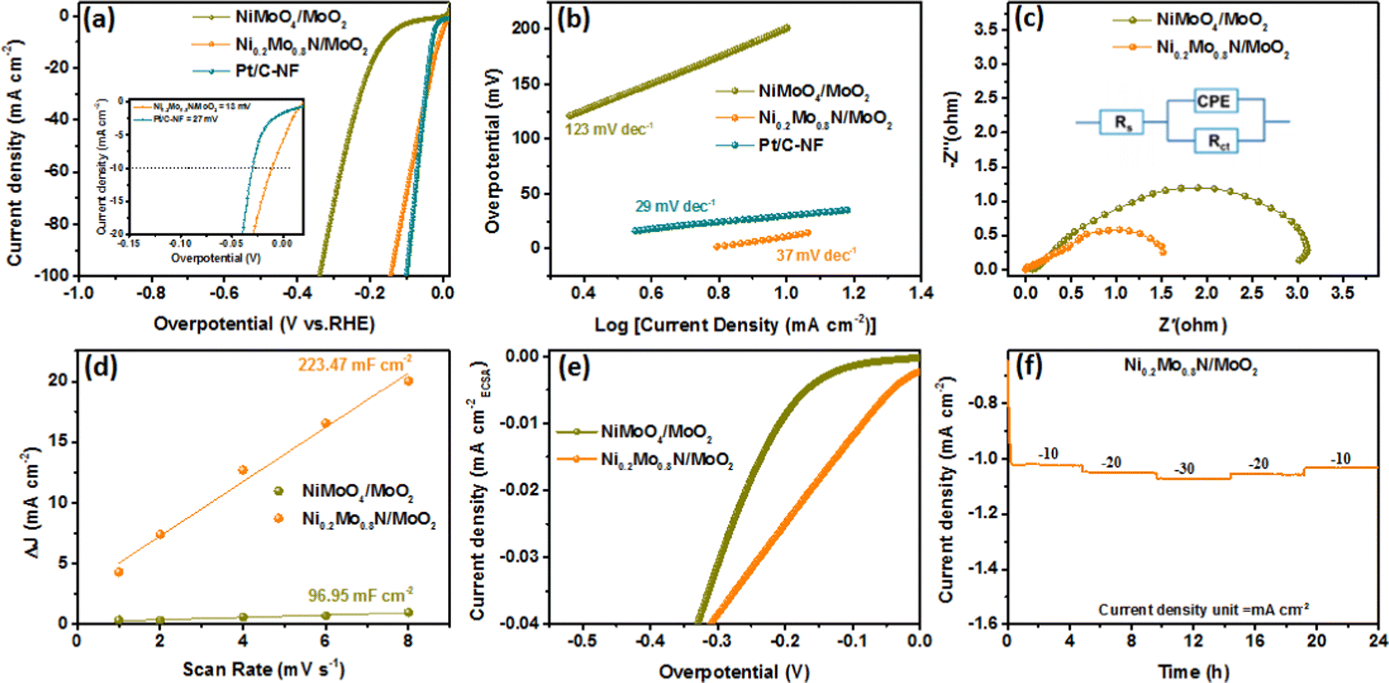 Exceptional alkaline hydrogen evolution by molybdenum-oxide