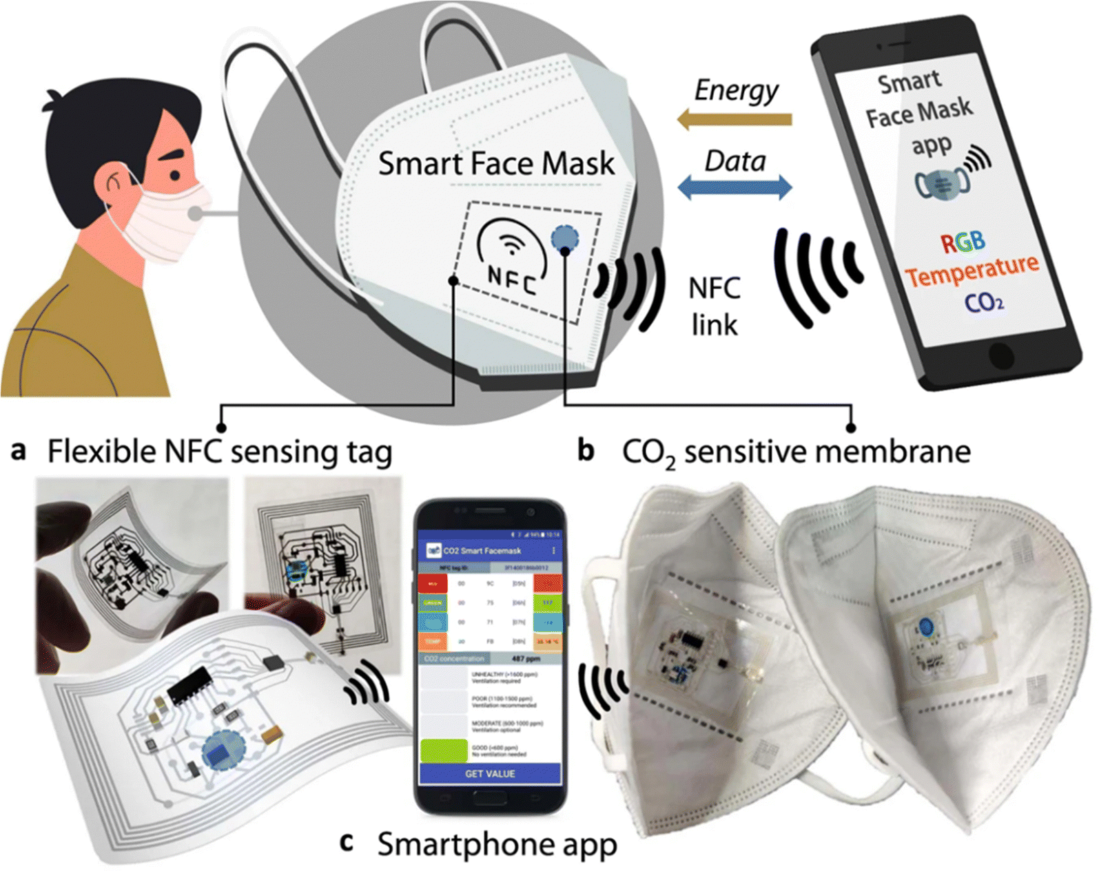 Examples of types of wearable devices, a accessories, and b implantable