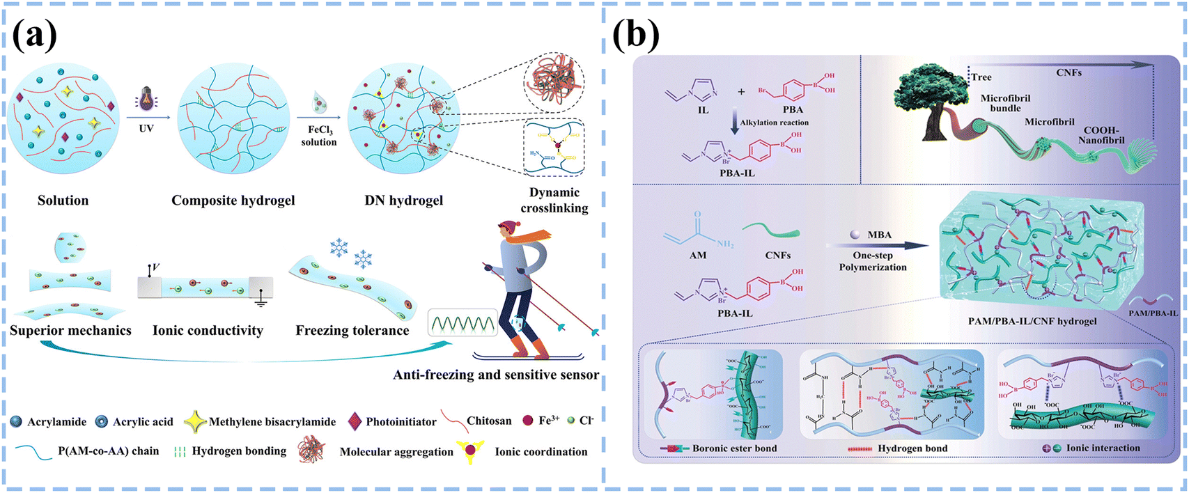 Hydrogel electrodes with conductive and substrate-adhesive layers