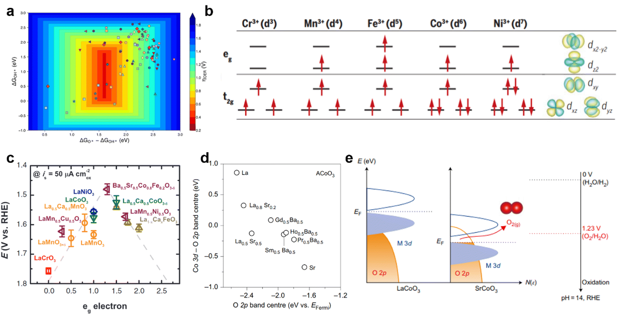 Constant Change: Exploring Dynamic Oxygen Evolution Reaction Catalysis and  Material Transformations in Strontium Zinc Iridate Perovskite in Acid