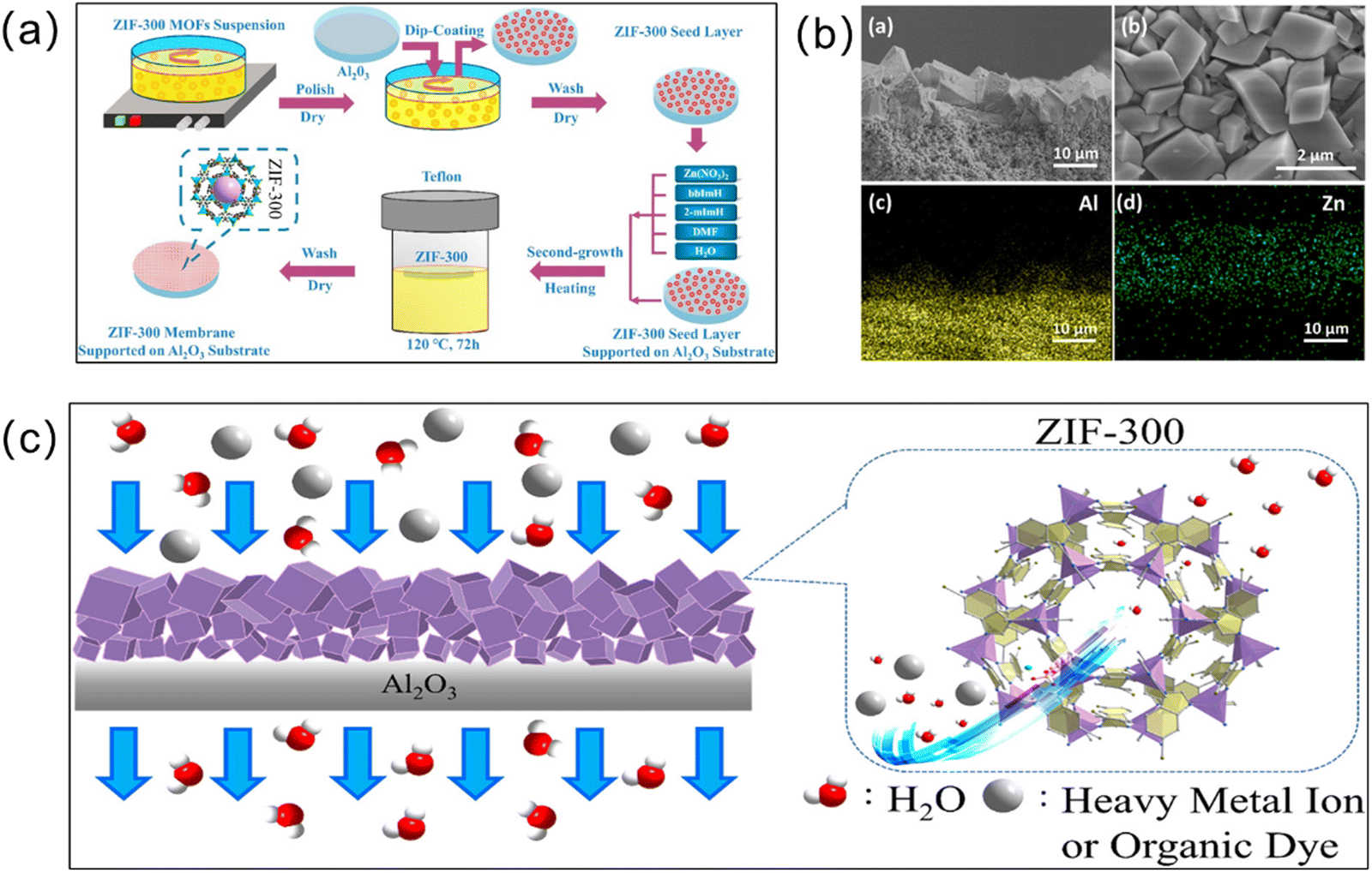 MOFs meet membrane: application in water treatment and separation 